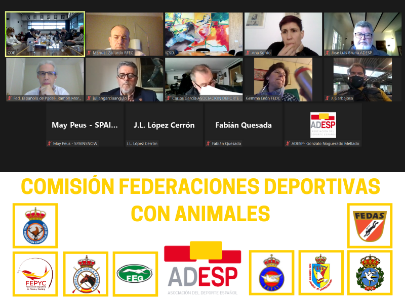 Comisión Federaciones Animales