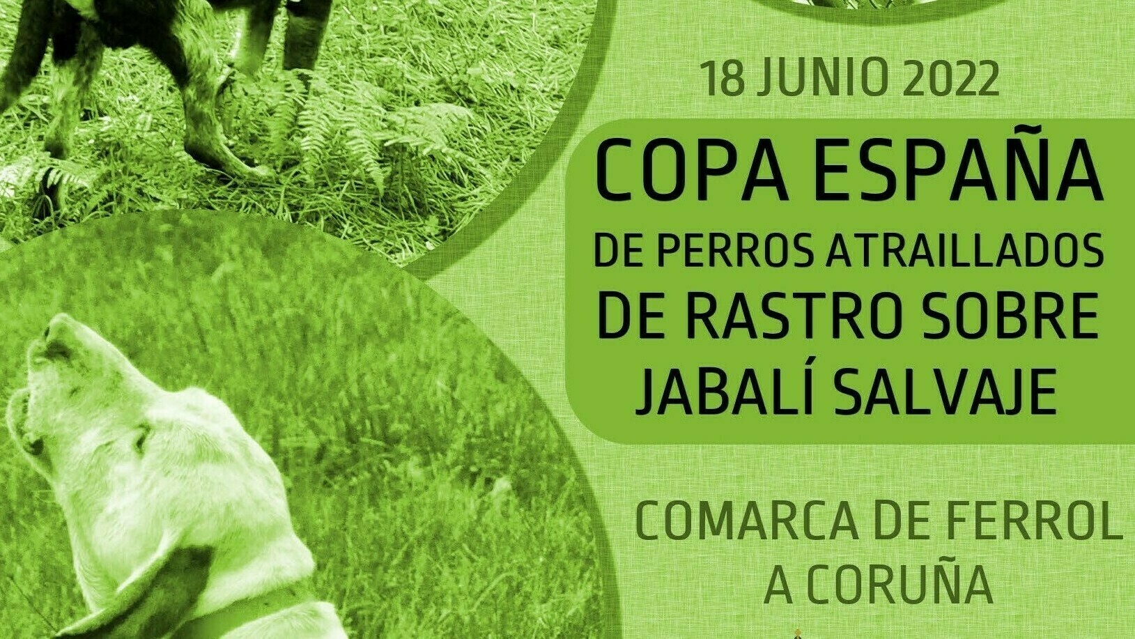 Copa de España de Perros Atraillados de Rastro sobre Jabalí Salvaje