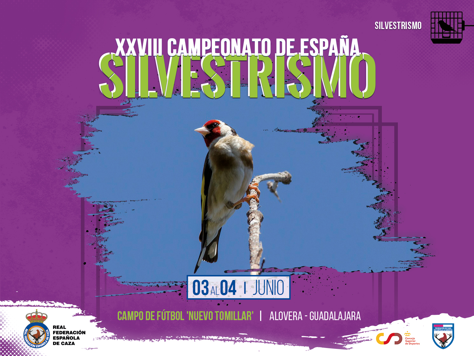 RFEC-Campeonatos-Carteleria_Silvestrismo